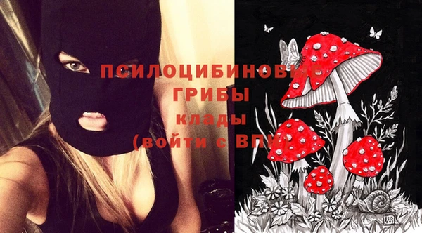 хмурый Алагир