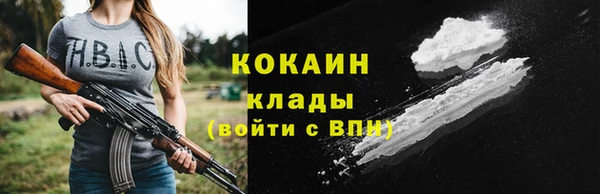 крисы Каменногорск