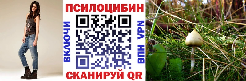 Купить где  Городец  Галлюциногенные грибы мицелий 